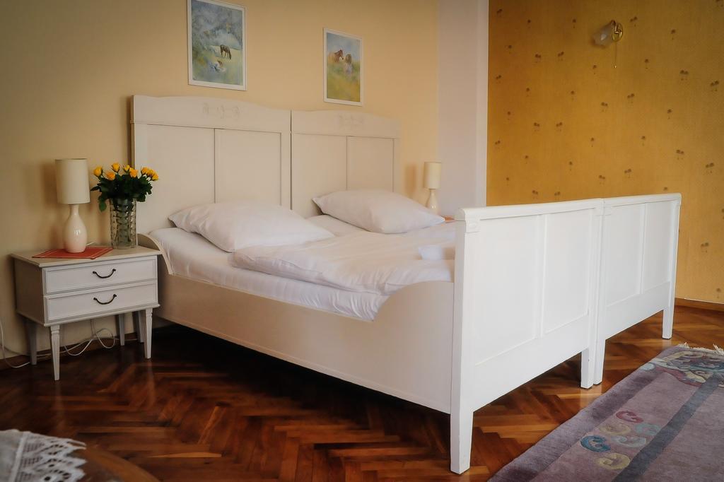 Willa Elysium Bed & Breakfast Lądek-Zdrój Rom bilde